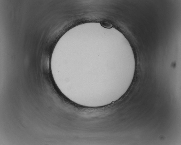 X0000116580021200912312024