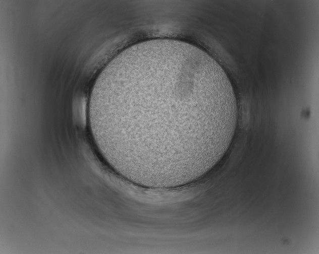 X0000116580022200912312024