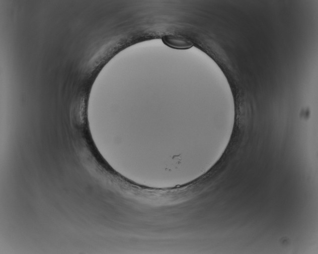 X0000116580023200912312024
