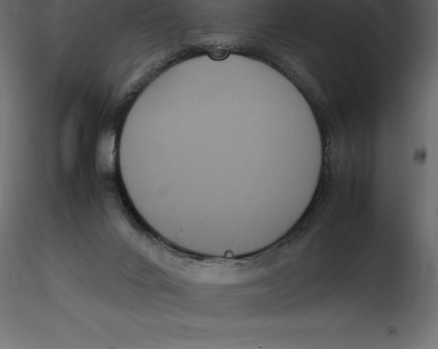 X0000116580024200912312024