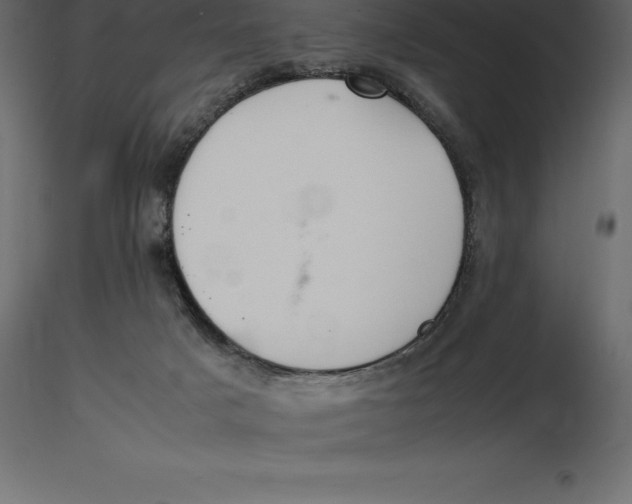 X0000116580025200912312024