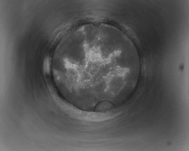 X0000116580026200912312024