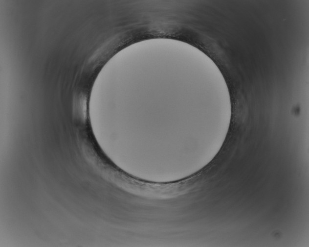X0000116580027200912312024