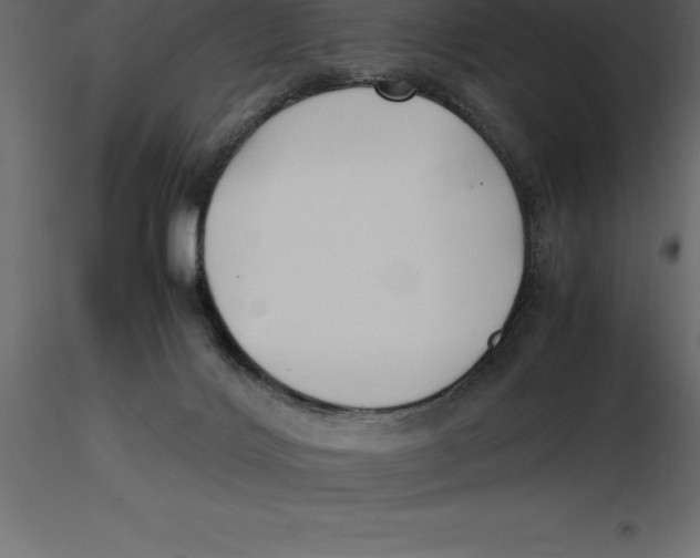 X0000116580028200912312024