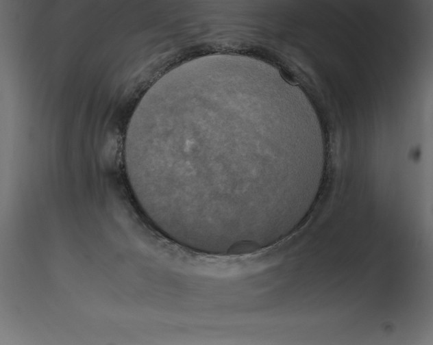 X0000116580029200912312024