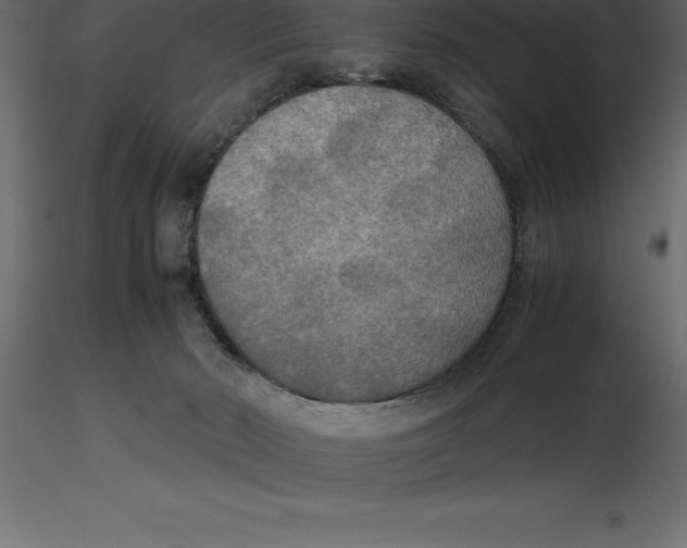 X0000116580030200912312024