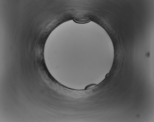 X0000116580031200912312024