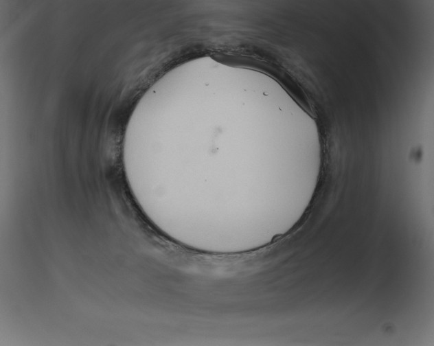 X0000116580033200912312024