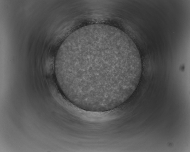 X0000116580034200912312024