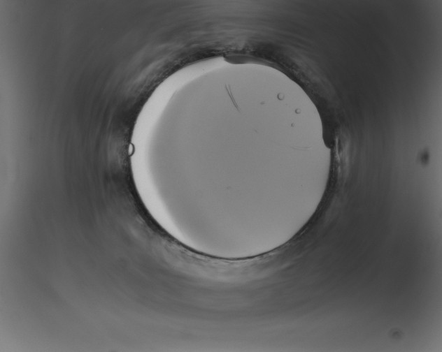 X0000116580035200912312024