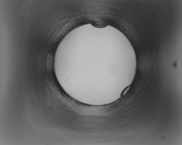 X0000116580036200912312024