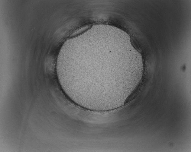 X0000116580037200912312024