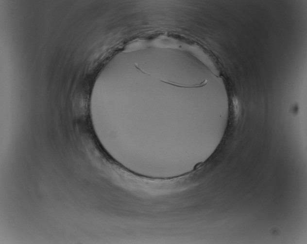 X0000116580039200912312024