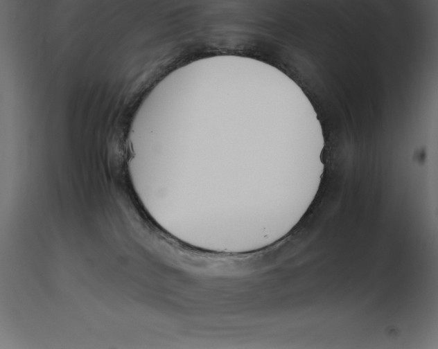 X0000116580040200912312024
