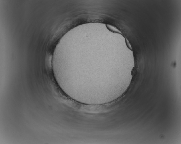 X0000116580041200912312024