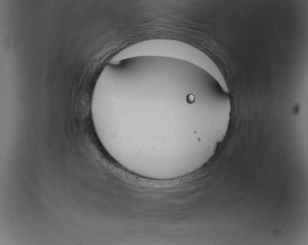 X0000116580043200912312024
