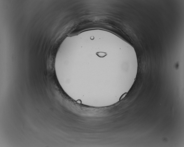 X0000116580044200912312024
