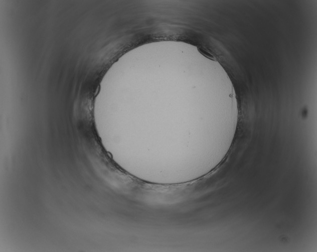 X0000116580045200912312024