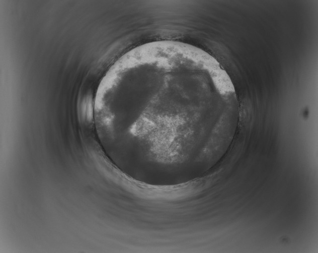 X0000116580046200912312024