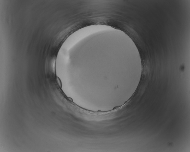 X0000116580047200912312024