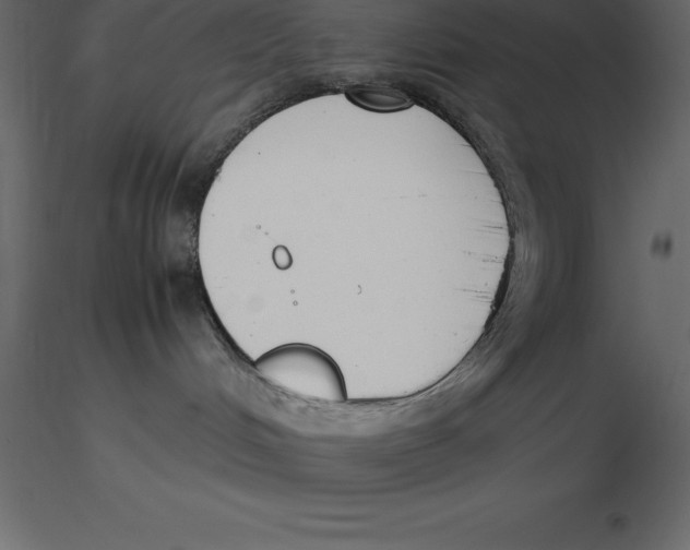 X0000116580048200912312024