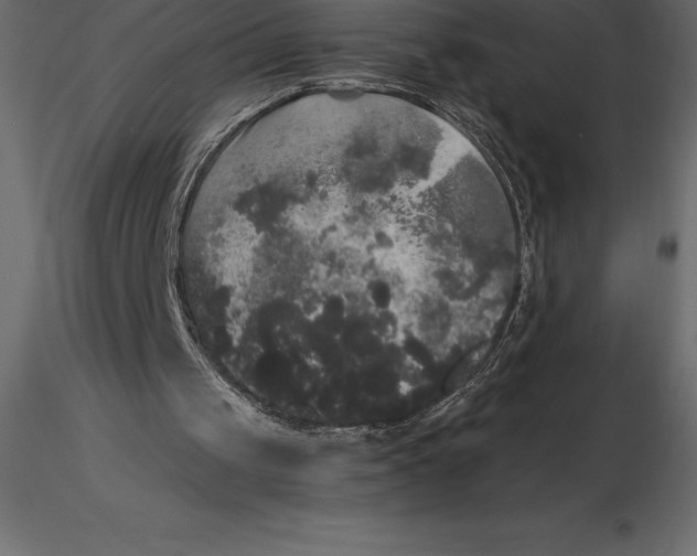 X0000116580049200912312023