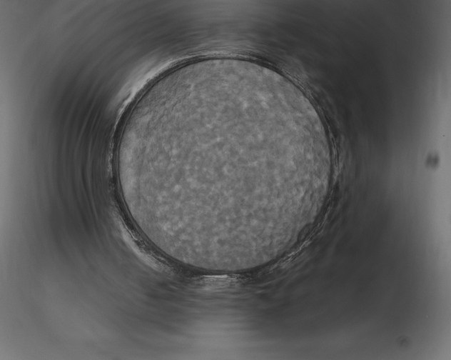 X0000116580050200912312023
