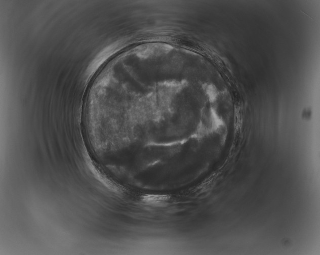 X0000116580051200912312023