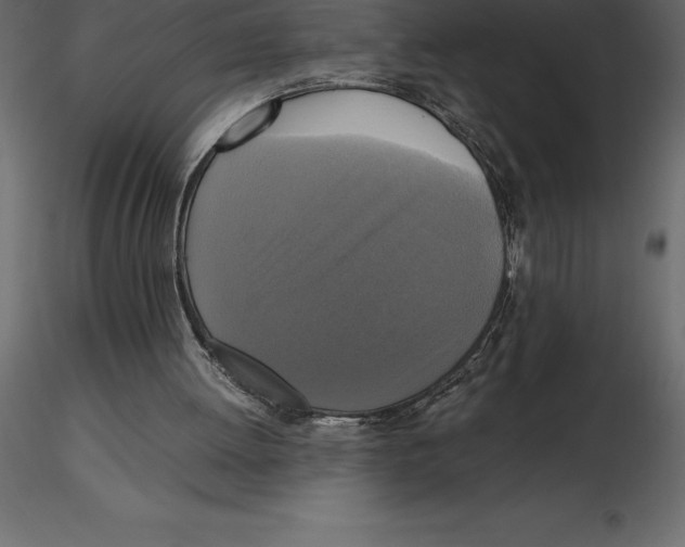 X0000116580052200912312023