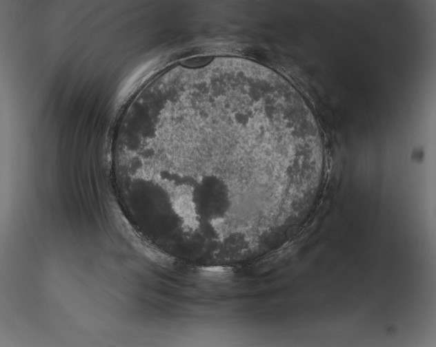 X0000116580053200912312023