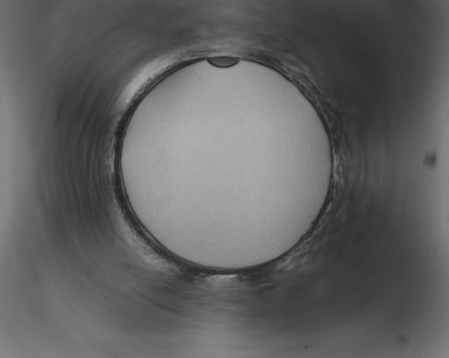 X0000116580054200912312023