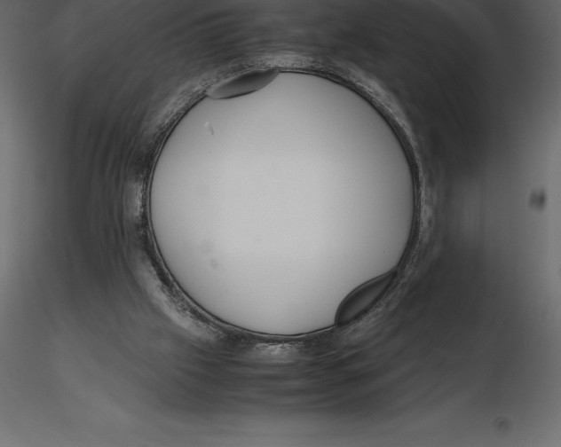 X0000116580057200912312023
