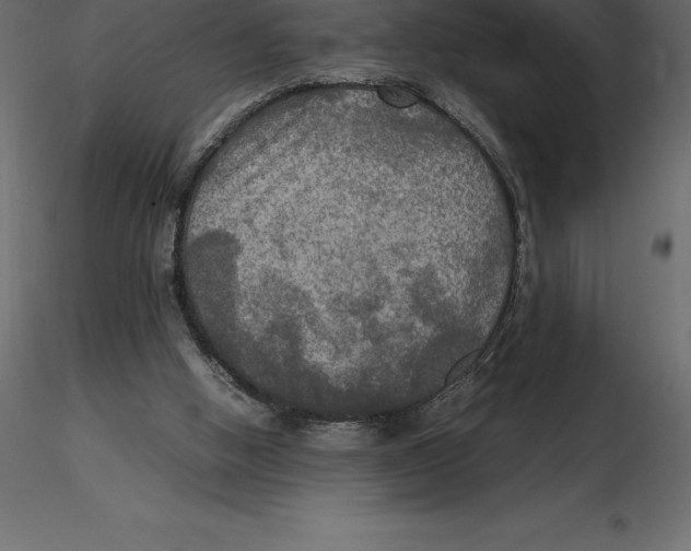 X0000116580058200912312023