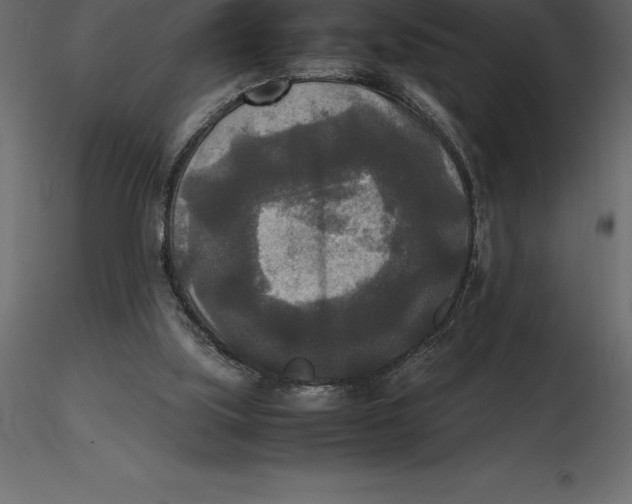 X0000116580059200912312023