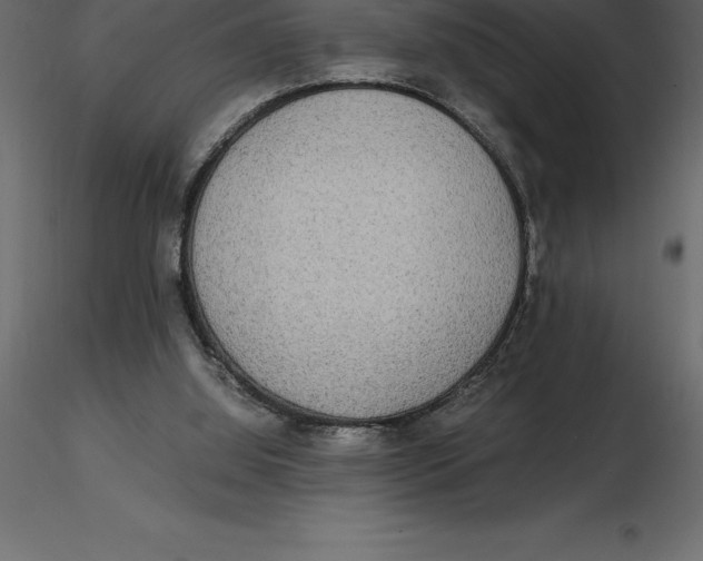 X0000116580060200912312023