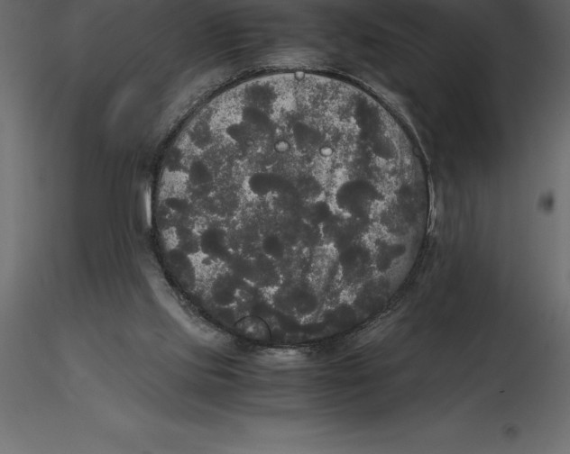 X0000116580061200912312023