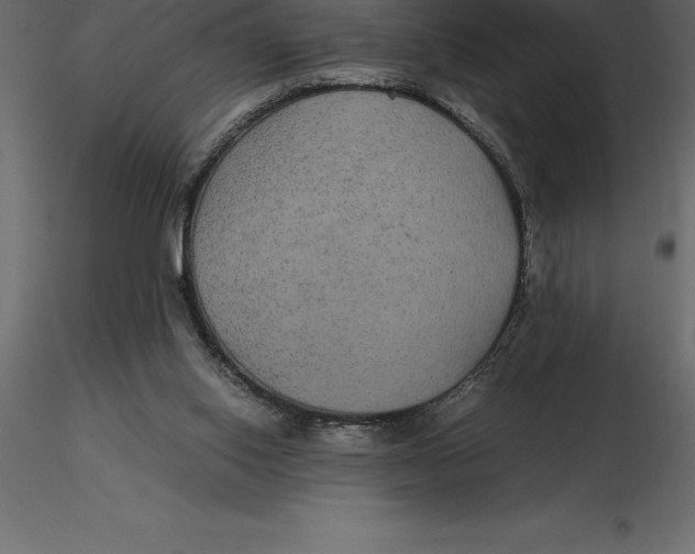 X0000116580062200912312023