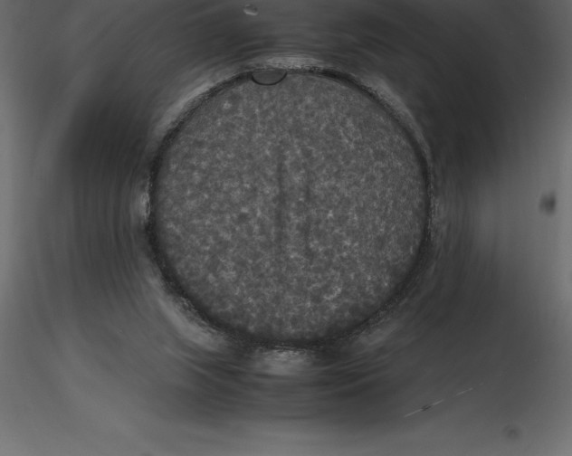 X0000116580063200912312023
