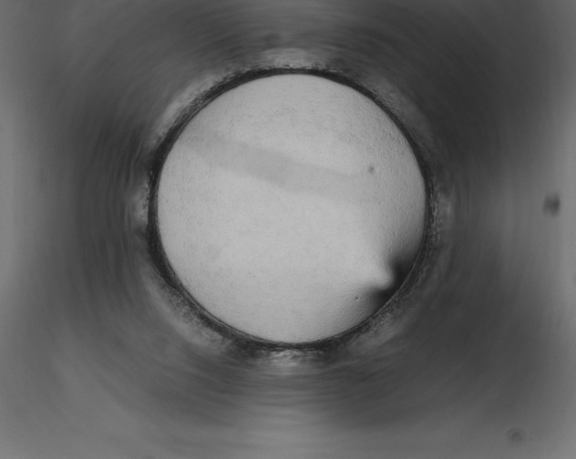 X0000116580064200912312023