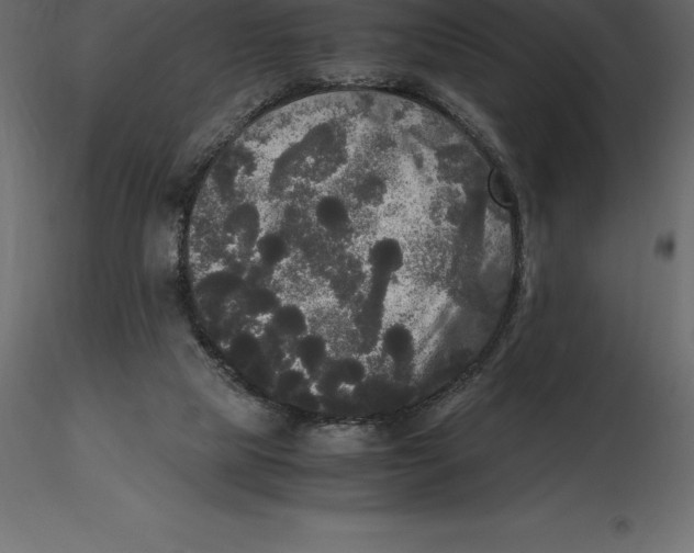 X0000116580065200912312023
