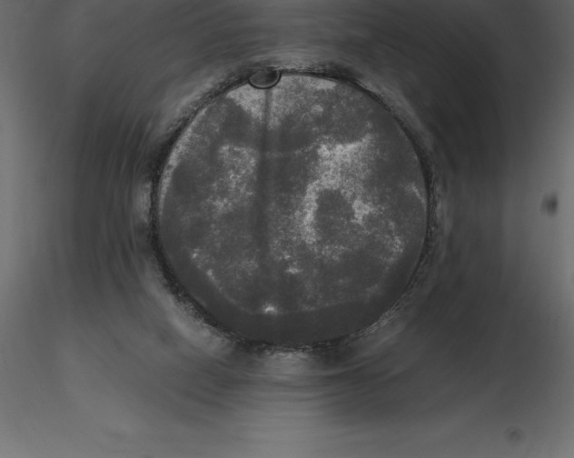 X0000116580066200912312023