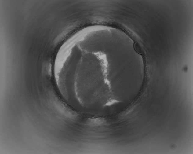 X0000116580067200912312023