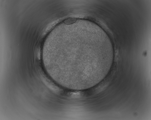 X0000116580068200912312023