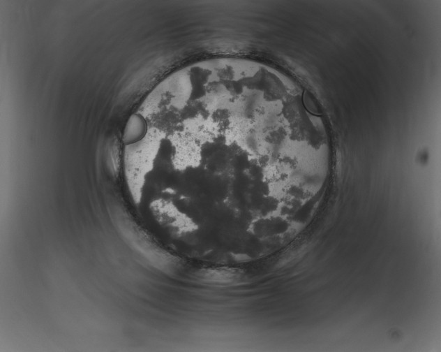 X0000116580069200912312023