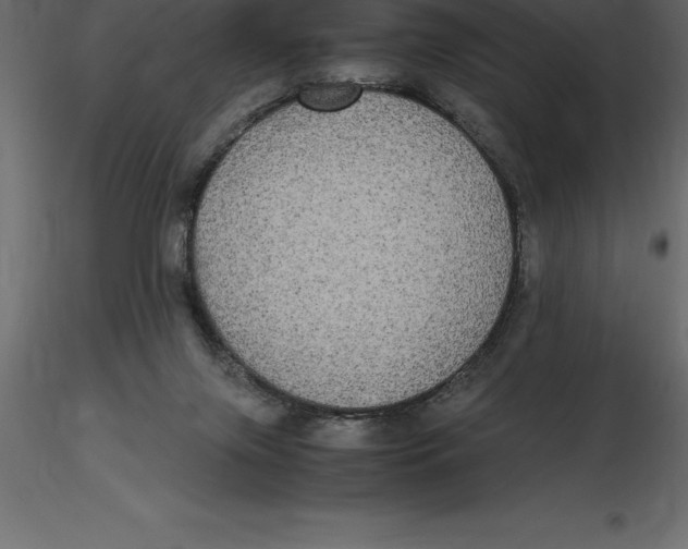 X0000116580071200912312023