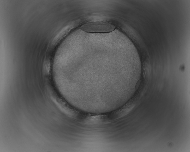 X0000116580072200912312023