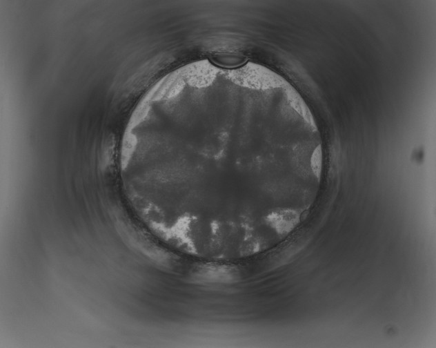 X0000116580073200912312023