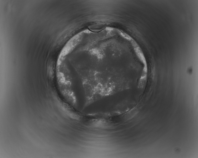 X0000116580074200912312023