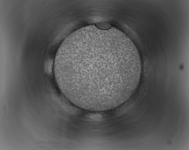 X0000116580075200912312023