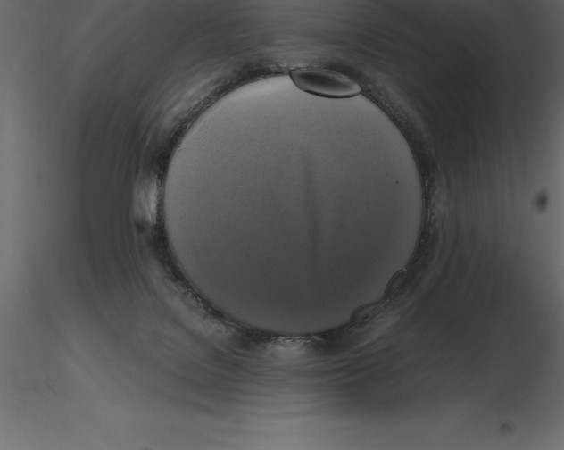 X0000116580076200912312023